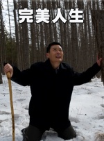 清晰在线播放观看