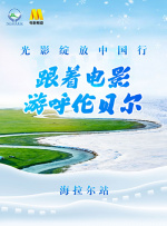 蓝光原盘在线观看