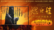 高清版在线观看